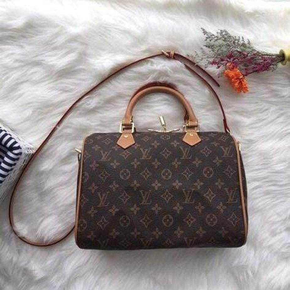 Louis Vuitton Basic Mono Speedy Hand Bag