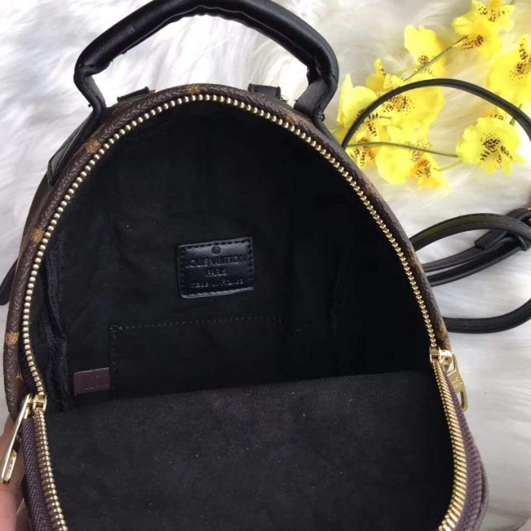 Louis Vuitton Brown-Coffee Palm Spring Mini Backpack