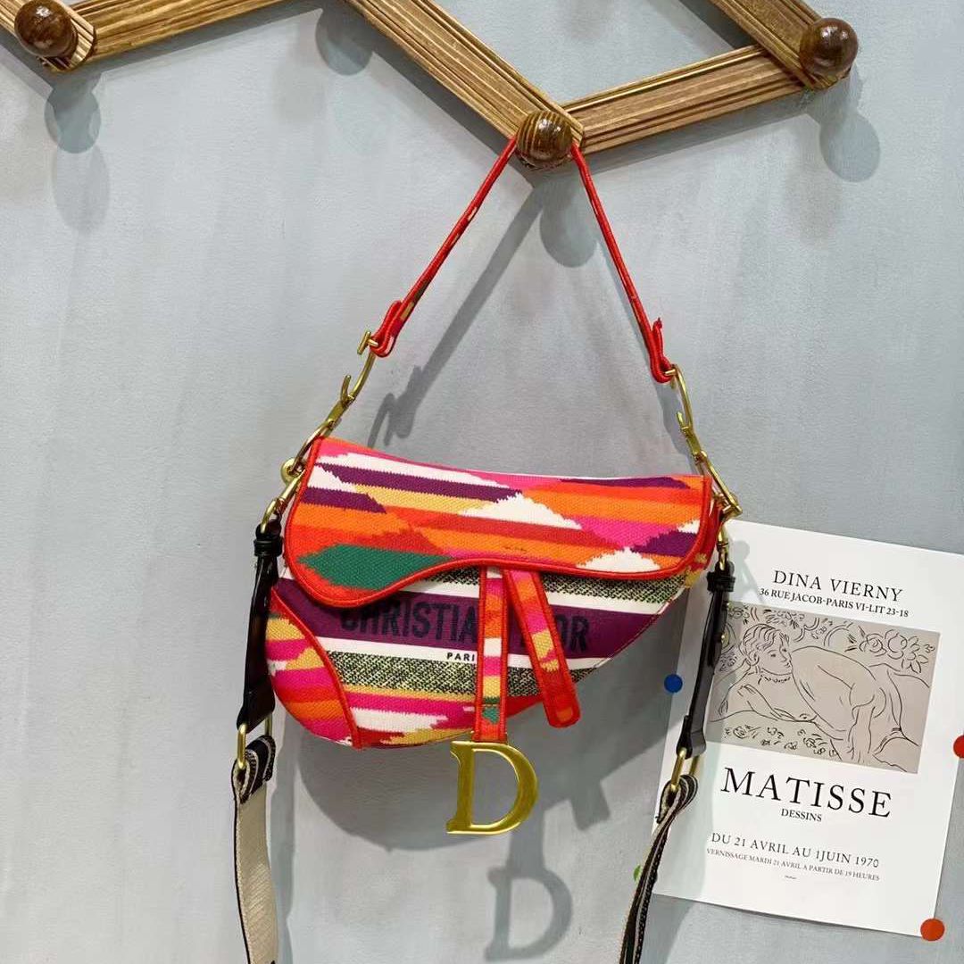 WhatsApp Image 2024-07-26 at 12.45.49 AM Dior Multicolor Canvas Saddle Bag (With Box)