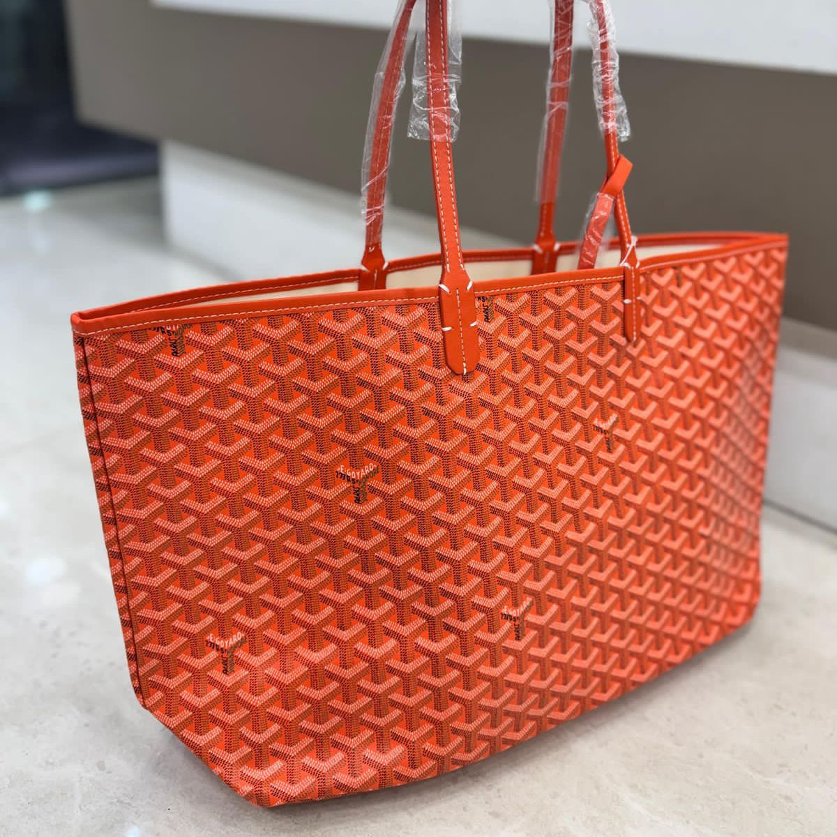 WhatsApp Image 2024-10-21 at 2.43.44 PM Goyard Orange Neverfull Tote