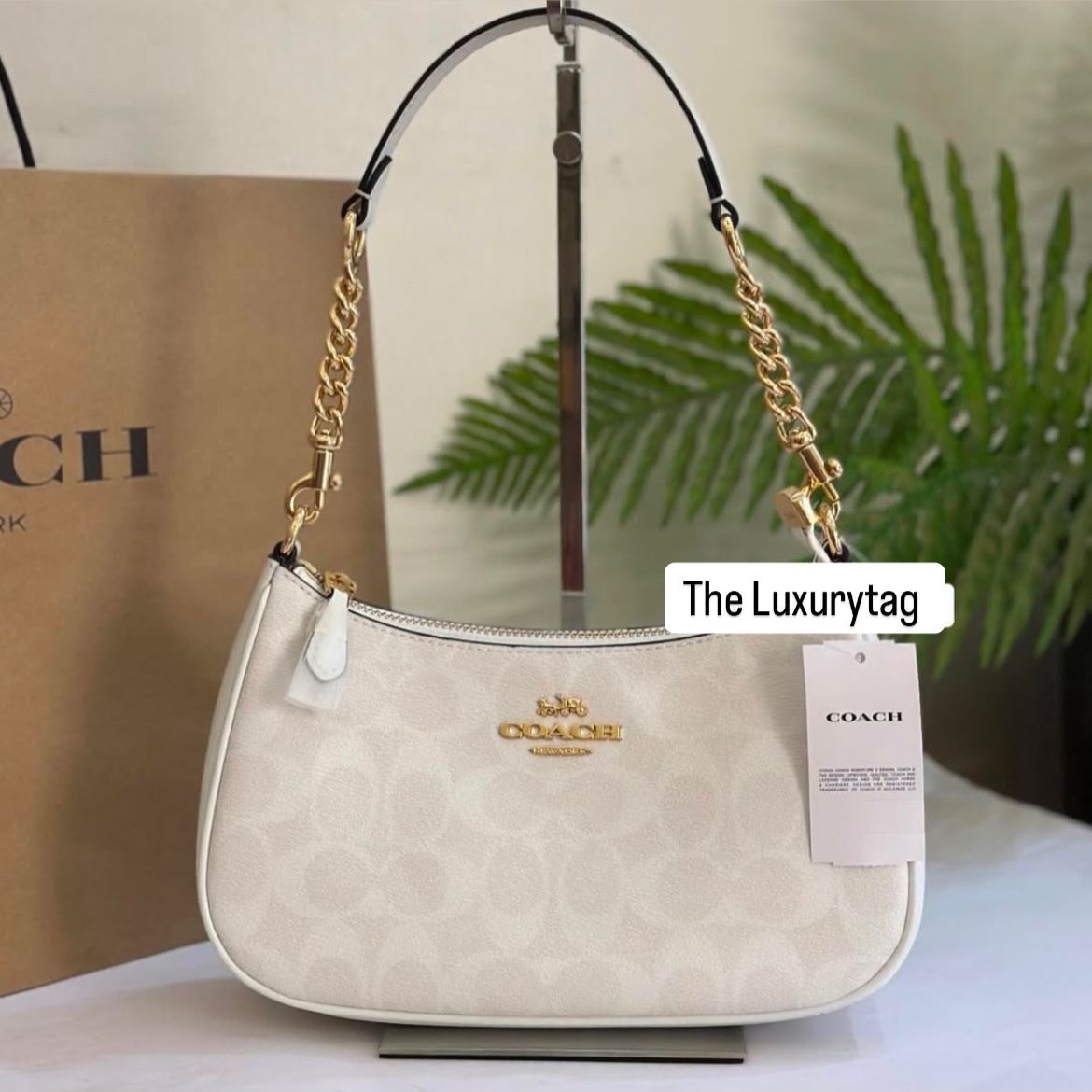 WhatsApp Image 2025-01-28 at 8.15.25 PM Coach Teri White Shoulder Bag (With Box)