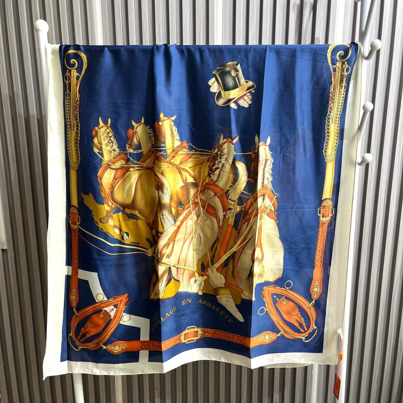 WhatsApp Image 2025-03-30 at 4.01.22 PM (1) Hermes Silk Stole