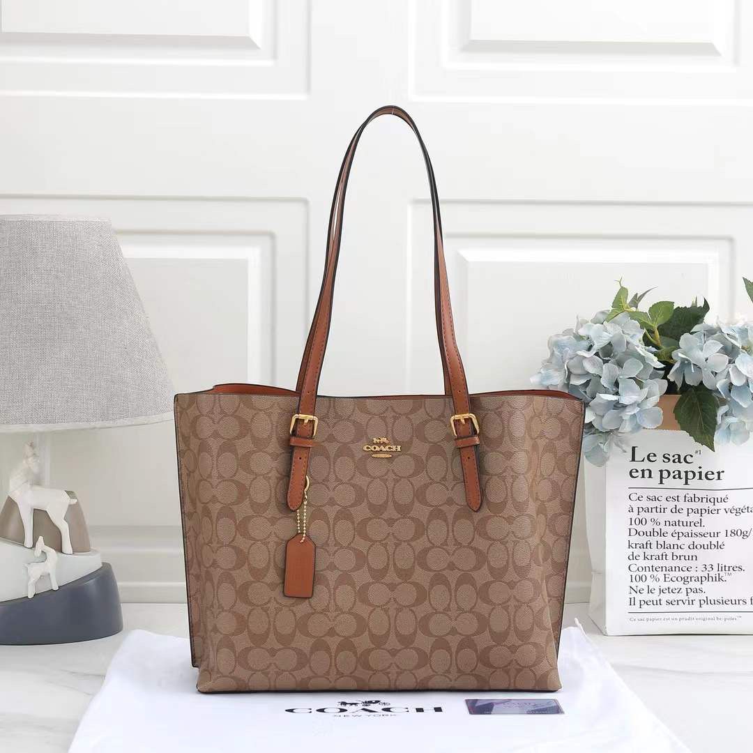 WhatsApp Image 2026-01-17 at 22.38.01 (1) Coach Mollie Apricot Brown Tote Bag