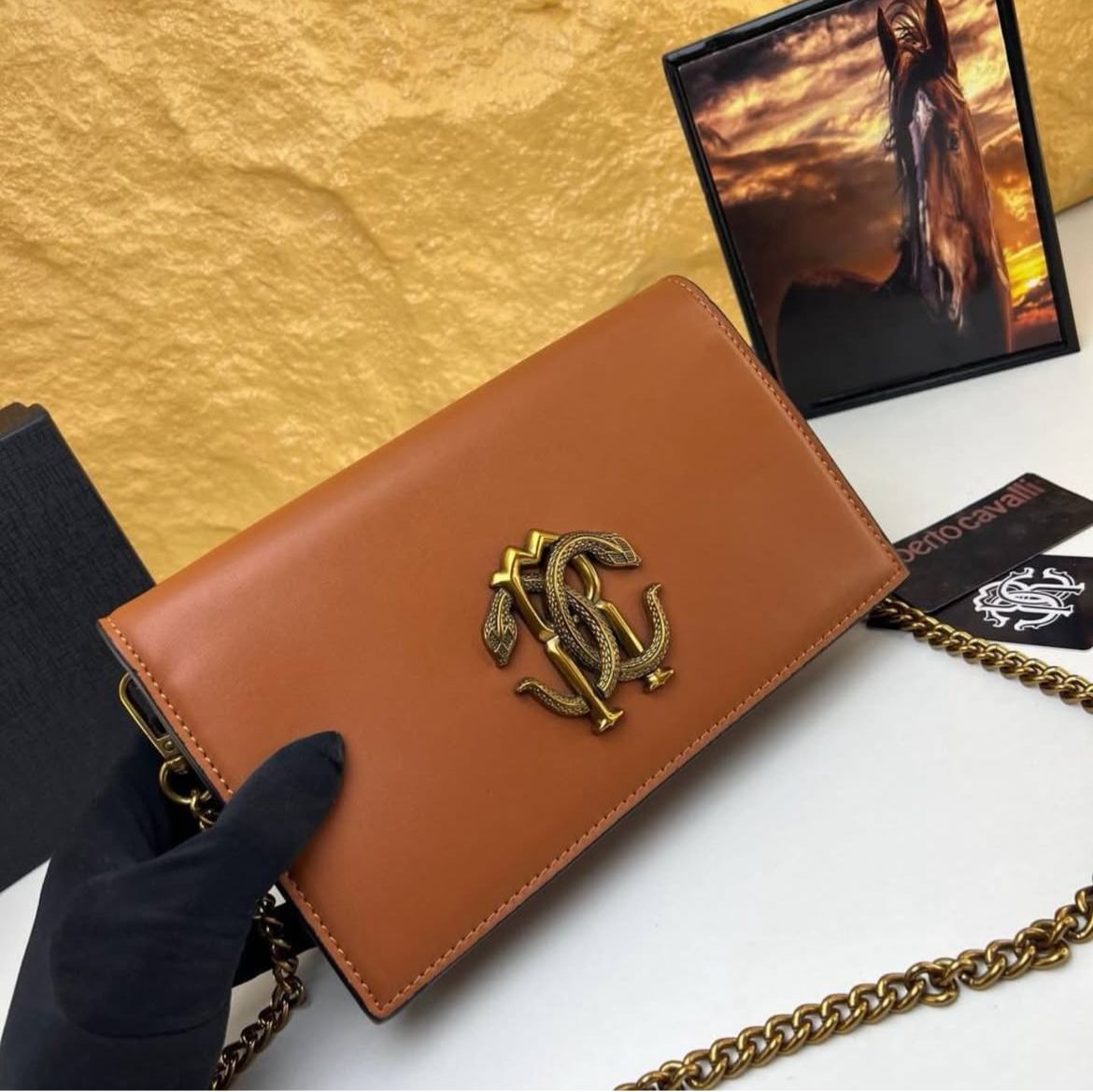 WhatsApp Image 2025-06-30 at 4.31.56 PM (1) Roberto Cavali Plaque Brown Sling Bag (With Box)