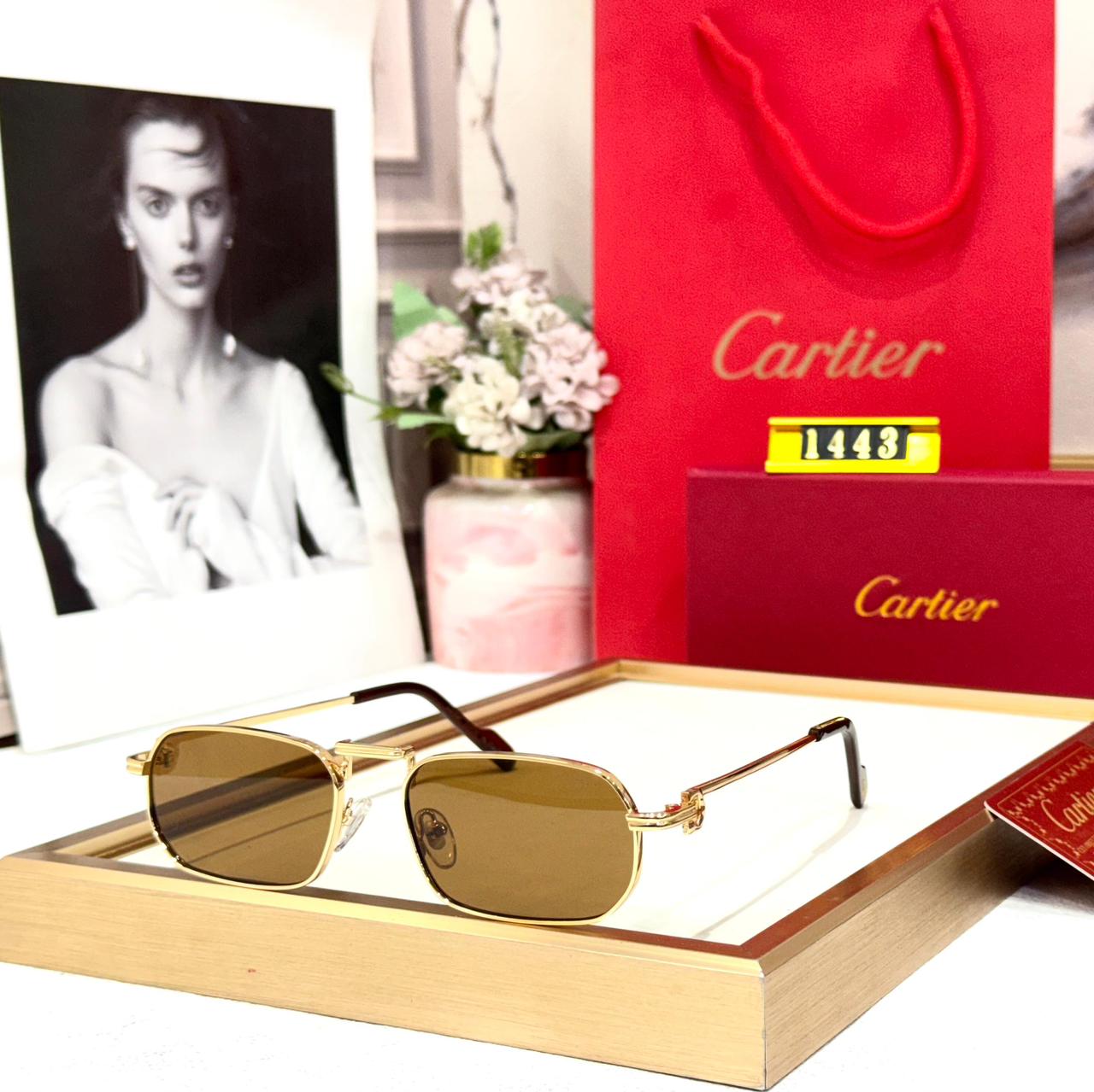 Cartier Gold Rectangular Sunglasses
