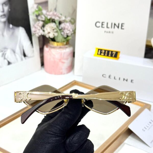 WhatsApp Image 2026-02-11 at 7.22.03 PM Celine Brown Hexagon Sunglass For Women
