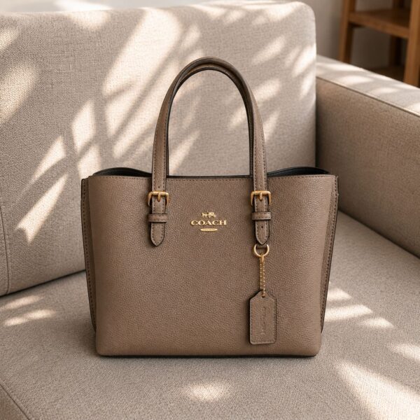 WhatsApp Image 2026-05-18 at 8.02.46 PM Coach Mollie 25 Khaki Tote Bag (With Box)