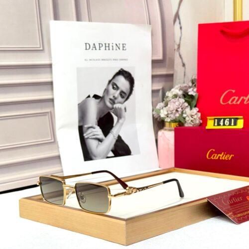 Cartier Tiger Brown Rectangular Men’s Sunglass