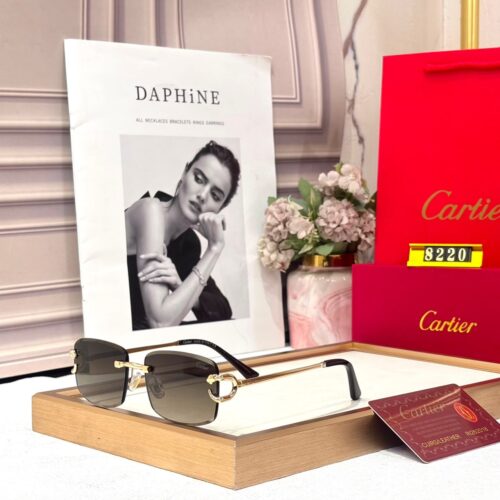 Cartier Brown Rimless Rectangular Men’s Sunglass