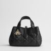 Dior Small Dior Toujours Black Color Premium Hand Bag (With Box)