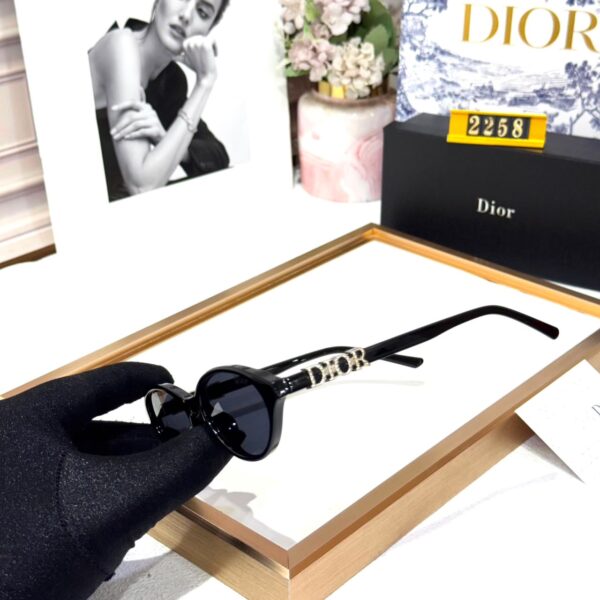 Dior Full Black Silver Oval Women’s Sunglass