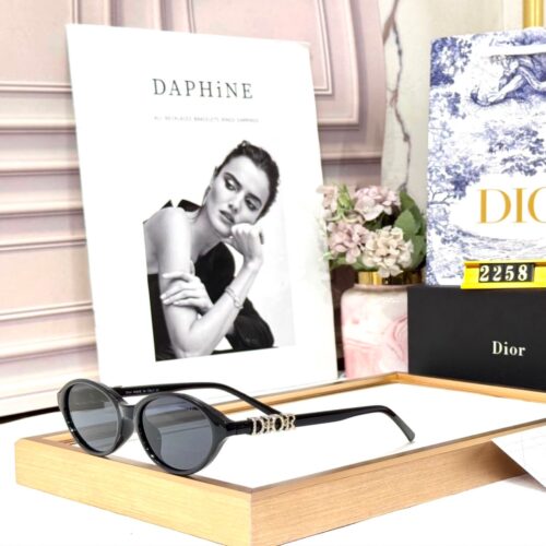 Dior Full Black Silver Oval Women’s Sunglass