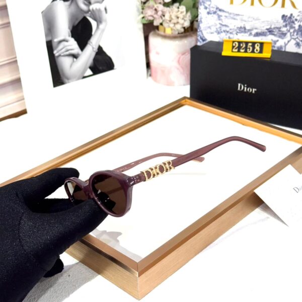 Dior Nude Oval Women’s Sunglass