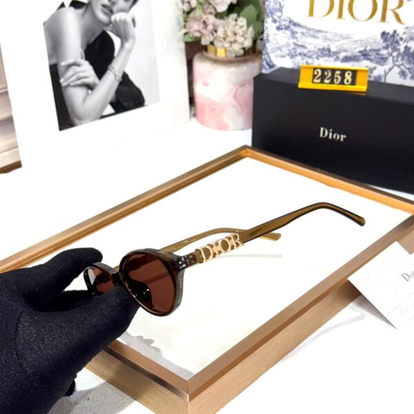 Dior Brown Oval Women’s Sunglass