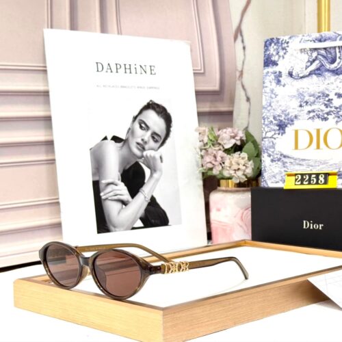 Dior Brown Oval Women’s Sunglass
