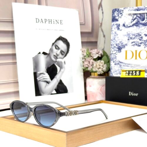 Dior Gray Blue Oval Women’s Sunglass
