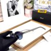 Dior Gray Blue Oval Women’s Sunglass