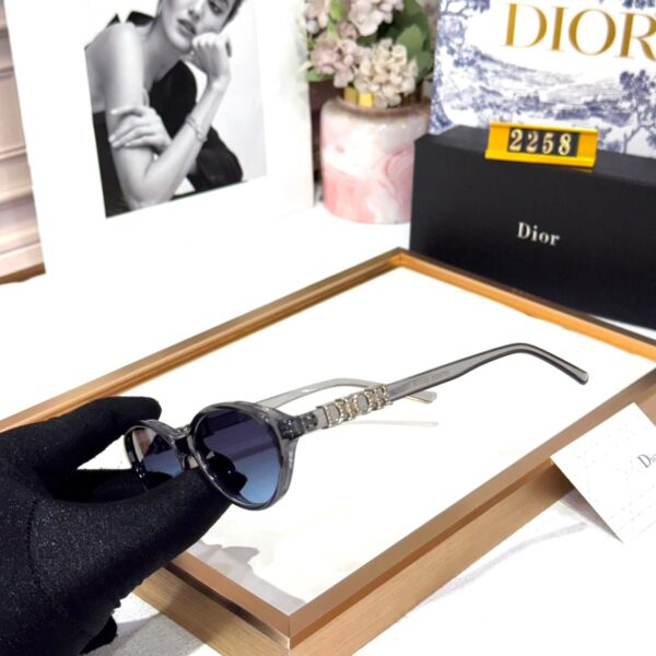 Dior Gray Blue Oval Women’s Sunglass