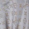 Louis Vuitton Grey Shimmer Semi Woolen Stole