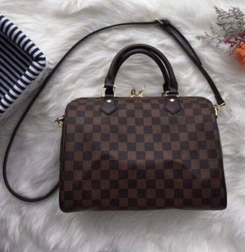 Louis Vuitton Basic Speedy Check Hand Bag photo review