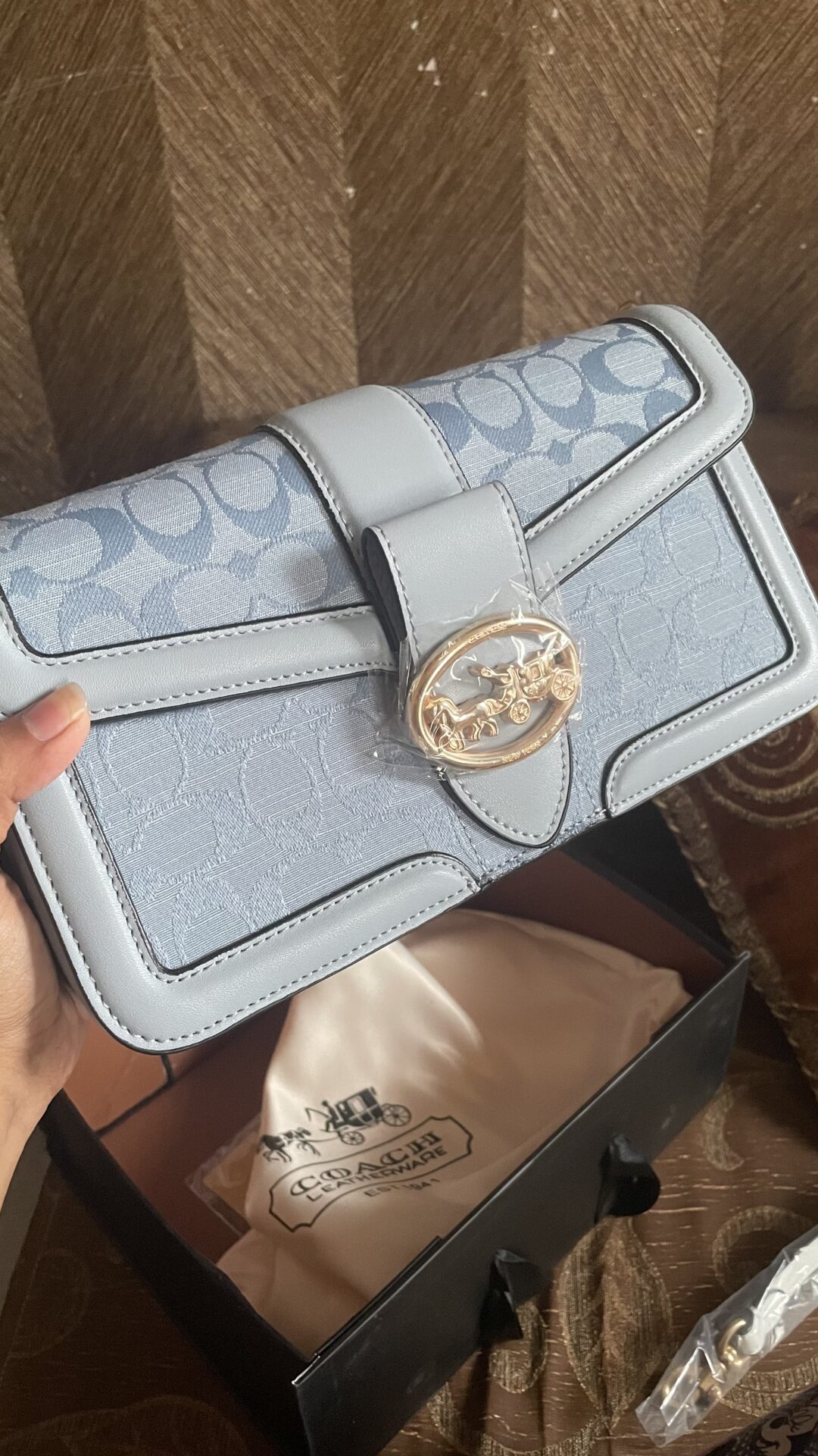 Coach Georgie Sky Blue Shoulder Bag Premium quality (With Box) photo review